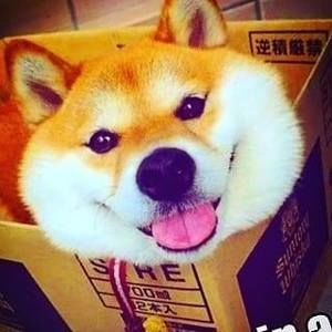 Meet your Posher, Johnny